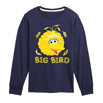 Boys 8-20 Sesame Street Big Bird Face Long Sleeve Graphic Tee