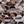 Brown Beige