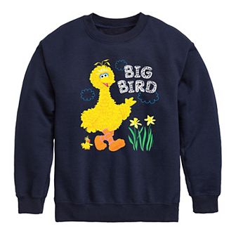 Boys 8-20 Sesame Street Big Bird Daffodils Fleece Sweatshirt