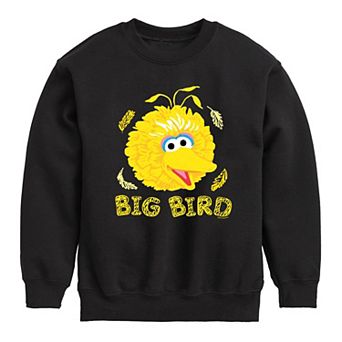 Boys 8-20 Sesame Street Big Bird Face Fleece Sweatshirt