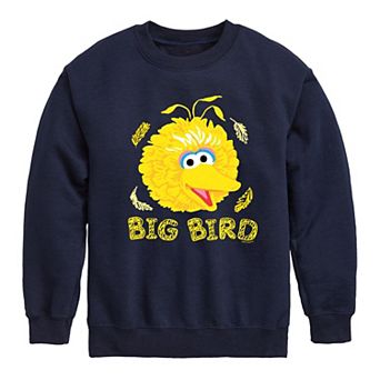 Boys 8-20 Sesame Street Big Bird Face Fleece Sweatshirt