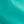 Dusty Cactus