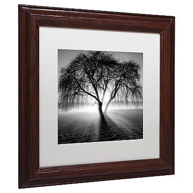 Trademark Fine Art Lightning Tree Matted Framed Wall Art