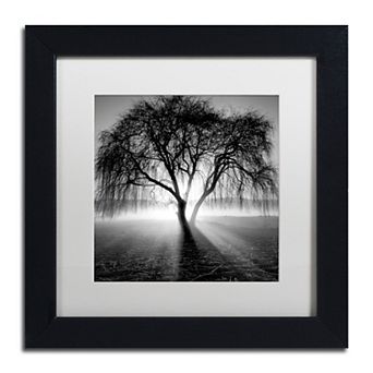 Trademark Fine Art Lightning Tree Matted Framed Wall Art