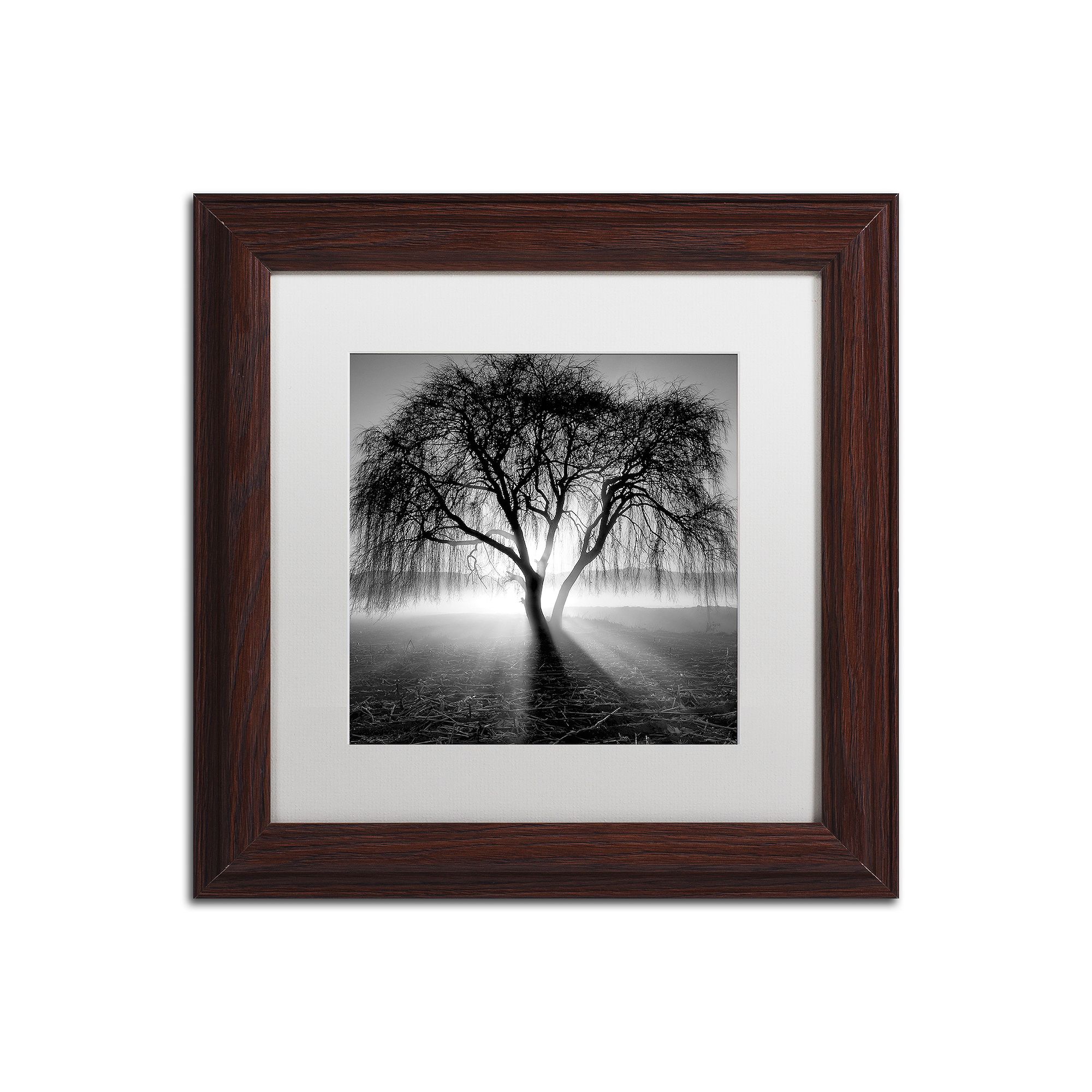 Trademark Fine Art Lightning Tree Matted Framed Wall Art, Wood Frame White 