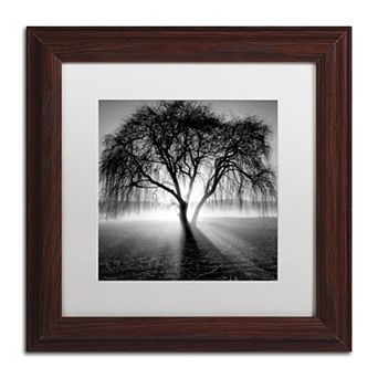 Trademark Fine Art Lightning Tree Matted Framed Wall Art