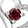 Garnet