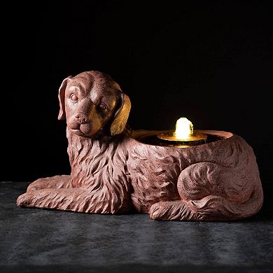 Haven Living Indoor/Outdoor Dog Fountain