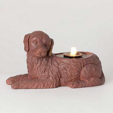 Haven Living Indoor/Outdoor Dog Fountain