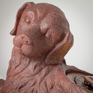 Haven Living Indoor/Outdoor Dog Fountain