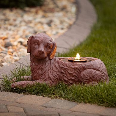 Haven Living Indoor/Outdoor Dog Fountain