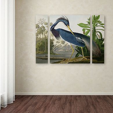Trademark Fine Art Louisiana Heron Multi Panel Art Set
