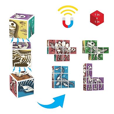 PicassoTiles 9 PC Magnetic Blocks Dinosaur Fossil Theme, Magnetic Building Blocks for Kids 3+