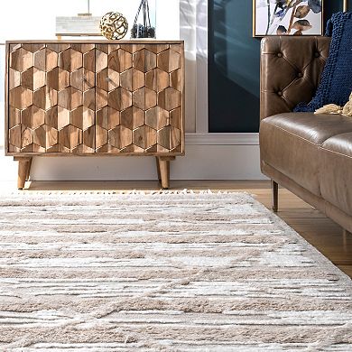 ArvinOlanoXRugsUSA Bing Shag Area Rug