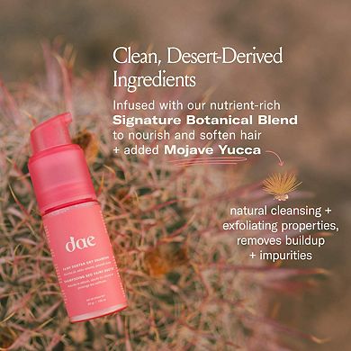 Fairy Duster Volumizing Dry Shampoo Powder