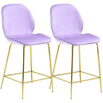 Best Master Furniture Preston 24" Velvet Counter Stool (Set of 2)