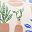 Pride Houseplants