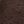 Brown Plum