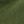 Infantry Olive