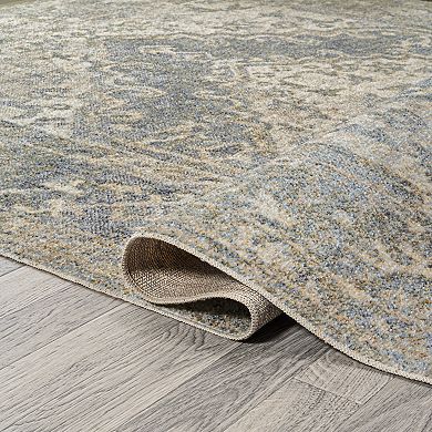 Pavel Distressed Medallion Low-pile Machine-washable Area Rug