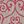 Light Gray Fuchsia