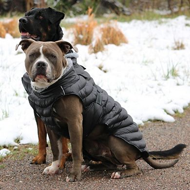 Doggie Design Alpine Extreme Weather Puffer Coat