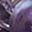 Grape