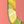 Lemon Lime