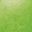Green Apple
