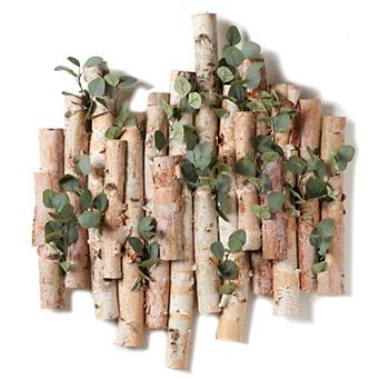 Wall Hanging Birch And Silver Dollar Branches