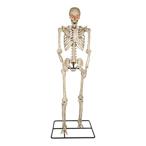 Skeleton Base Phantom Glow Amon 約30cm Amazon.com: Home Accents HolidayGanmm 5 ft. Poseable