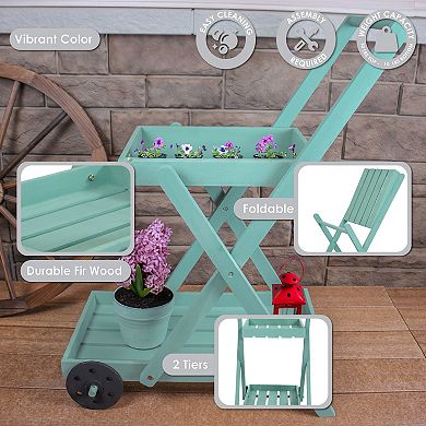 Sunnydaze 2-tier Fir Wheeled Planter Stand - Robin Egg Blue