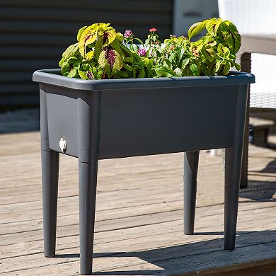 Sunnydaze Self-watering Raised Garden Bed With Cloche Cover