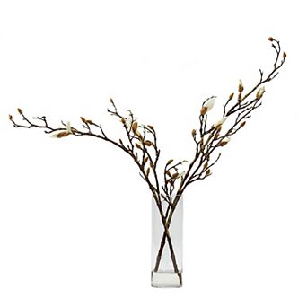 Magnolia Stems In Glass Vase