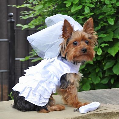 Doggie Design Dog Harness Wedding Dress With Veil And Matching Leash