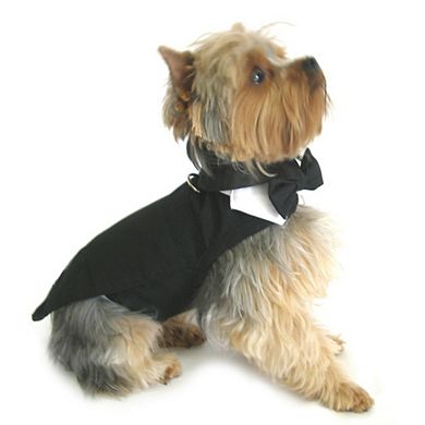 Doggie Design Black Dog Harness Wedding Tuxedo W/tails, Bow Tie, And Cotton Collar