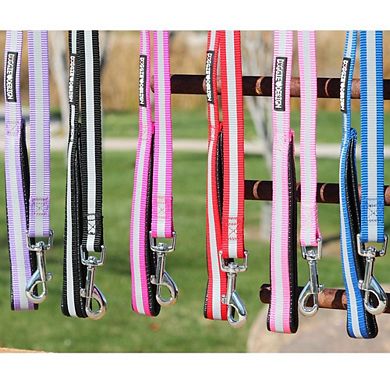 Doggie Design Basic Reflective Safety Strip Dog Leash