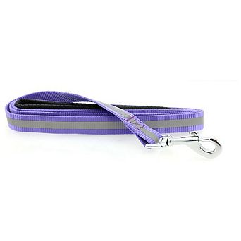 Doggie Design Basic Reflective Safety Strip Dog Leash