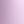 Botanical Lilac