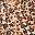 Brown Leopard
