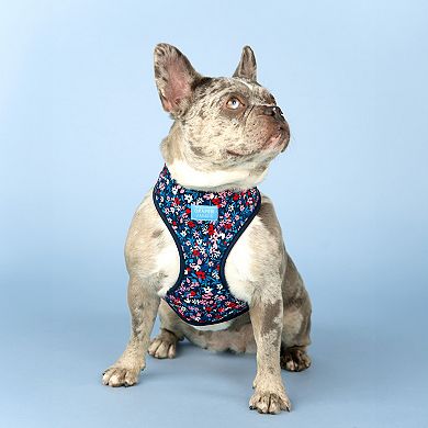 Draper James Classic Reversible Dog Harness