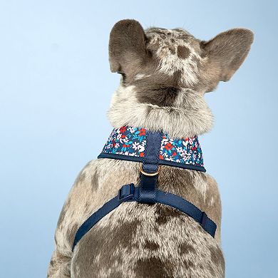 Draper James Classic Reversible Dog Harness