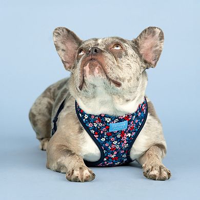 Draper James Classic Reversible Dog Harness