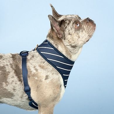 Draper James Classic Reversible Dog Harness