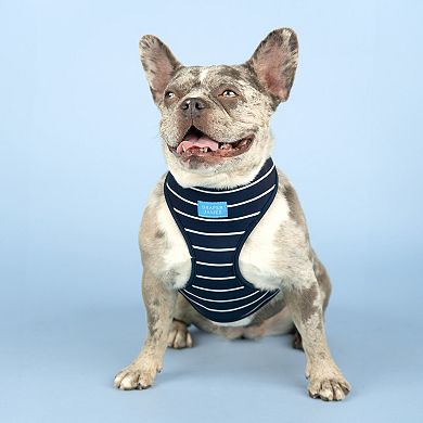 Draper James Classic Reversible Dog Harness