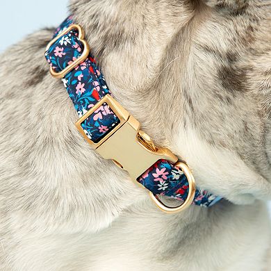 Draper James Classic Dog Collar
