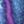 Blue Purple