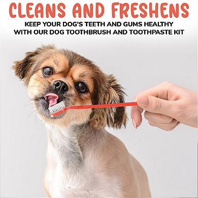 Precious Tails 4 Piece Complete Dental Set