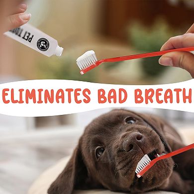 Precious Tails 4 Piece Complete Dental Set