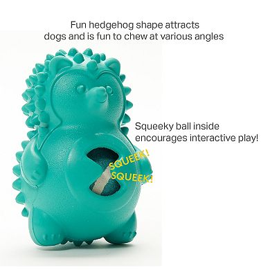 Friends Forever Bumpi Hedgehog with Tennis Ball